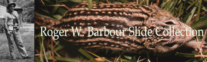 Roger W. Barbour Slide Collection