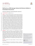 DdrR acts as a DNA damage-induced cell division inhibitor in Acinetobacter baumannii