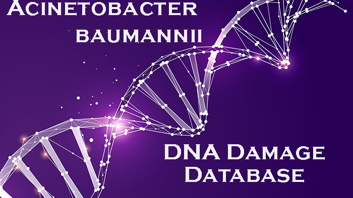 Acinetobacter baumannii DNA Damage Database