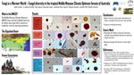 Fungi In A Warmer World Fungal Diversity In The Tropical Middle Miocene Climate Optimum Forests Of Australia
