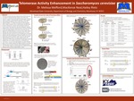 Telomerase Activity Enhancement in Saccharomyces cerevisiae by MacKenzie Neal, Hailey Rietz, and Melissa Mefford