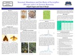 Seasonal Abundance and Sex Ratio of Earwigflies (Merope tuber) in Eastern Kentucky