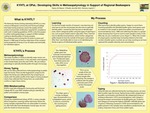 KYHTL at OPaL: Developing Skills in Melissopalynology in Support of Regional Beekeepers by M. Maeve Tipton, Jennifer M.K. O'Keefe, and Ingrid C. Romero