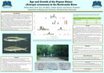 Age and Growth of the Popeye Shiner (Notropis ariommus) in the Rockcastle River by Shelbie Black, Jared Vise, Zoe Baker, Caitlyn Senters, and David J. Eisenhour