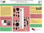 Fungi in a Warmer World: Preliminary findings on the Zhangpu Biota of Southeastern China by Margaret Alden, Erdoo Mongol, Limi Mao, and Jen O'Keefe