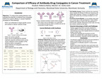 Comparison of Efficacy of Antibody-Drug Conjugates in Cancer Treatment