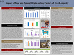 Impact of Year and Animal Origin on Key Factors of Ewe Longevity