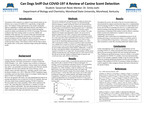 Can Dogs Sniff Out COVID-19? A Review of Canine Scent Detection by Savannah Reed and Smita Joshi