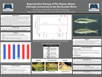 Reproductive Timing of the Popeye Shiner (Notropis Ariommus) in the Rockcastle River by Jared Vise, Shelbie Black, and David Eisenhour