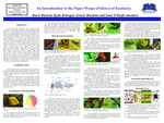An Introduction to the Paper Wasps (Polistes) of Kentucky by Dawn Barnett, Kyah Brinegar, Gracie Burdette, and Sean O'Keefe