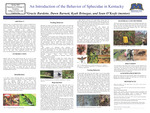 An Introduction of the Behavior of Sphecidae in Kentucky by Gracie Burdette, Dawn Barnett, Kyah Brinegar, and Sean O'Keefe