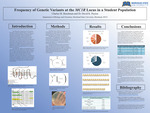 Frequency of Genetic Variants at the MC1R Locus in a Student Population by Charles M. Buschman and David K. Peyton
