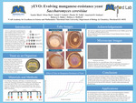 yEVO: Evolving Manganese-Resistance Yeast Saccharomyces Cerevisiae by Xander Black, Brain Hack, Isaiah V. Guthrie, Phoebe M. Nedlo, Amariyah B. Statham, Rebecca L. Bailey, and Melissa A. Mefford