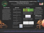 Enhance Isolation of Mitochondrial DNA (mtDNA) from Entomological Specimens by O. G. Halfhill, J. K. Hunt, D. R. Jude, A. M. Bond, J. P. Kilburn, and D. K. Peyton