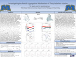 Investigating the Initial Aggregation Mechanism of Phenylalanine-Alanine by T. K. Sparks and Jakob Anderson