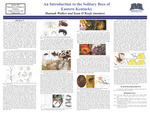 An Introduction to the Solitary Bees of Eastern Kentucky by Hannah Walker and Sean O'Keefe