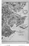 Map of Savannah, Ga. and Vicinity, 1864