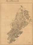 Map of Savannah 1861