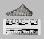 060-S2-L2-126.021 by Morehead State University History Department (Morehead, KY)