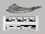 070-S2-L2-126.010