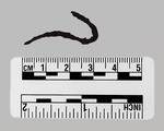 073-S2-L2-126.025