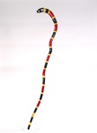 Coral Snake Cane by Tim Lewis