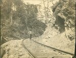 Shay #3 Locomotive by Morehead & North Fork Railroad Company