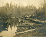 Logging Crew by Morehead & North Fork Railroad Company