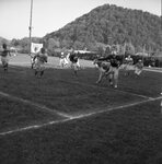 Homecoming (Football Game) - October 1954 by Morehead State College. and Art Stewart