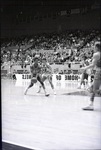 Basketball, Men by Morehead State University History Department (Morehead, KY)