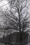 Campus by Morehead State University History Department (Morehead, KY)