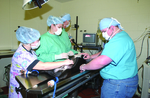 Veterinary Technology by Office of Communications & Marketing, Morehead State University