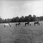 University Farm by Morehead State University. Office of Communications & Marketing.