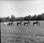 University Farm by Morehead State University. Office of Communications & Marketing.