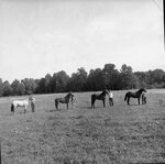 University Farm by Morehead State University. Office of Communications & Marketing.