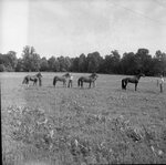 University Farm by Morehead State University. Office of Communications & Marketing.