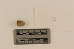 Ossabaw 26.031