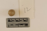 Ossabaw 26.002