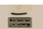 Ossabaw 26.065