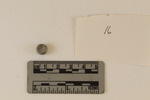 Ossabaw 26.032