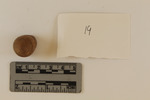 Ossabaw 26.003