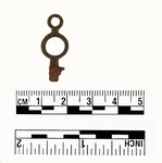 026.058-OSSABAW