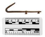 026.037-OSSABAW