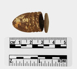 026.009-OSSABAW