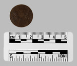 026.048-OSSABAW