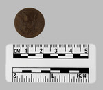 026.046-OSSABAW