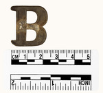 026.054-OSSABAW