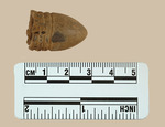 026.022-OSSABAW