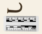 026.069-OSSABAW