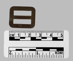 026.055-OSSABAW